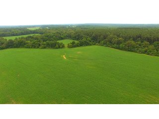 TRACT 73 - ILLINOIS LAND AUCTION - 4,810+/- ACRES OFFERED IN 85 TRACTS IN FRANKLIN, WILLIAMSON, HAMILTON & SALINE COUNTIES, ILLINOIS